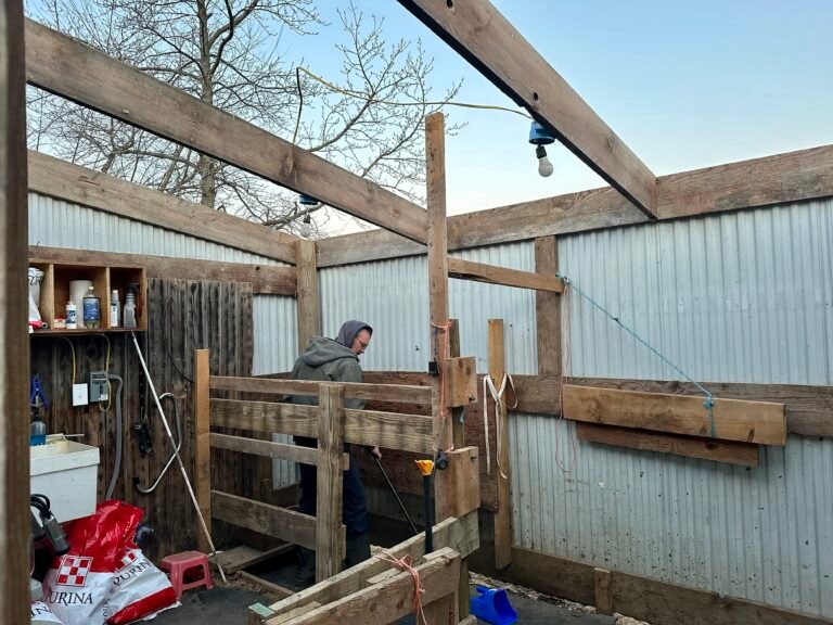 And Then the Milking Shed Roof Blew Away