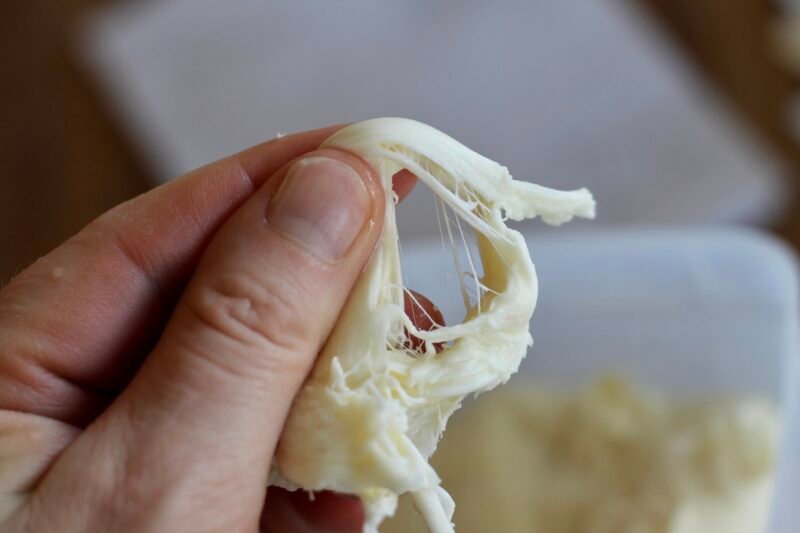 Quick Mozzarella Recipe - Image 4